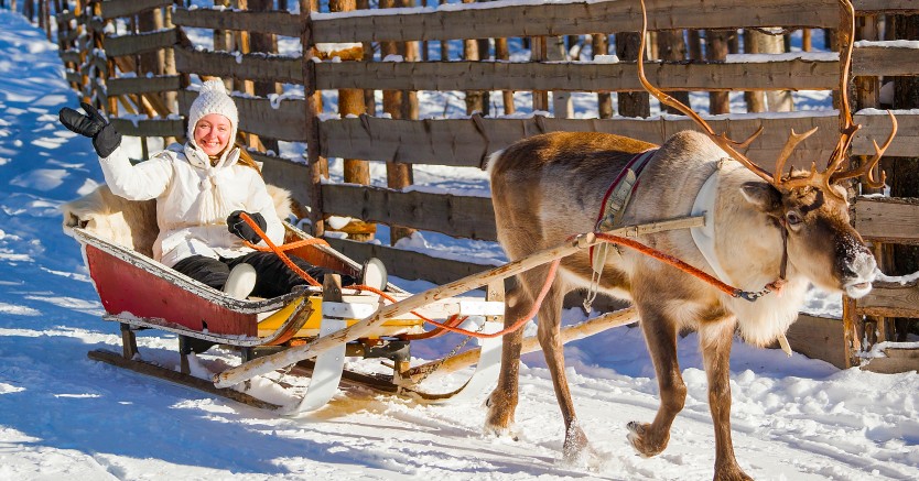 Ask Dr. Jenn: Can I Leave Treats for Santa's Reindeer?